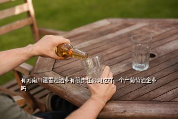 有河南川疆雪蓮酒業(yè)有限責(zé)任公司這樣一個產(chǎn)葡萄酒企業(yè)嗎