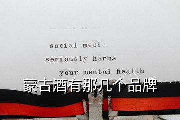 蒙古酒有那幾個品牌