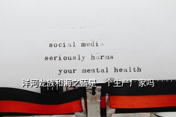 洋河龍族和海之藍是一個生產(chǎn)廠家嗎