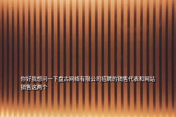你好我想問(wèn)一下盤古網(wǎng)絡(luò)有限公司招聘的銷售代表和網(wǎng)站銷售這兩個(gè)
