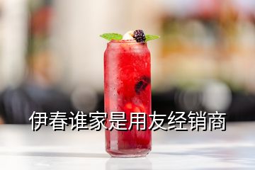伊春誰(shuí)家是用友經(jīng)銷(xiāo)商