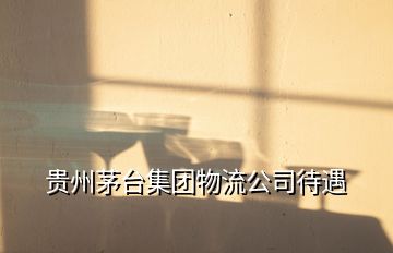 貴州茅臺(tái)集團(tuán)物流公司待遇