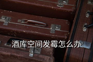 酒庫(kù)空間發(fā)霉怎么辦