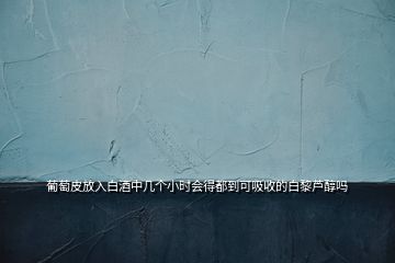 葡萄皮放入白酒中幾個小時會得都到可吸收的白黎蘆醇嗎