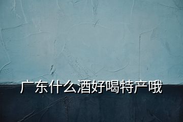 廣東什么酒好喝特產哦