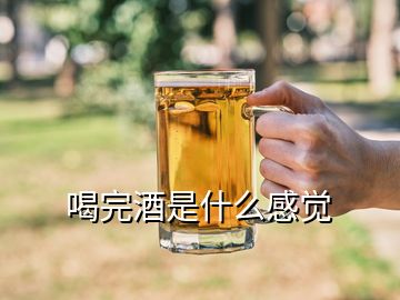 喝完酒是什么感覺(jué)
