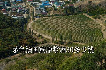 茅臺(tái)鎮(zhèn)國(guó)賓原漿酒30多少錢