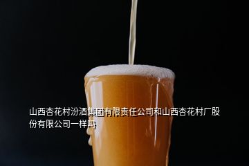 山西杏花村汾酒集團有限責(zé)任公司和山西杏花村廠股份有限公司一樣嗎