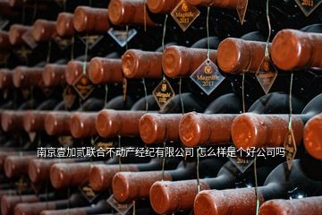 南京壹加貳聯(lián)合不動產(chǎn)經(jīng)紀(jì)有限公司 怎么樣是個好公司嗎