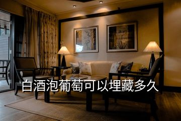 白酒泡葡萄可以埋藏多久