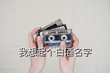 我想起個白酒名字