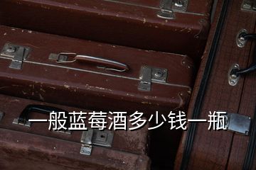 一般藍(lán)莓酒多少錢(qián)一瓶