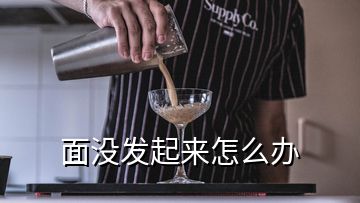 面沒發(fā)起來怎么辦