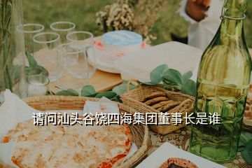 請問汕頭谷饒四海集團(tuán)董事長是誰