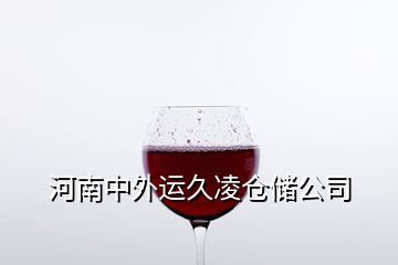 河南中外運(yùn)久凌倉(cāng)儲(chǔ)公司