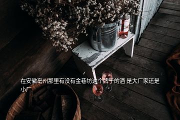 在安徽亳州那里有沒有金巷坊這個(gè)牌子的酒 是大廠家還是小廠