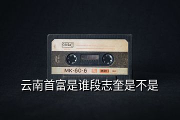 云南首富是誰(shuí)段志奎是不是