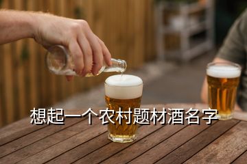 想起一個農村題材酒名字