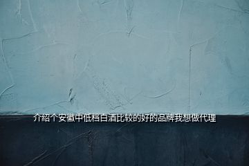 介紹個(gè)安徽中低檔白酒比較的好的品牌我想做代理