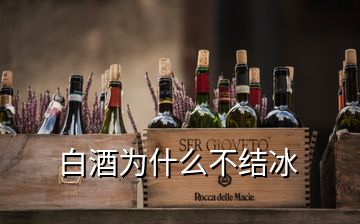 白酒為什么不結冰