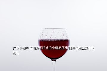 廣漢金雁中學附近有好點的小精品房出租嗎電梯公寓小區(qū)都行
