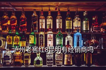 瀘州老窖紅8昆明有經(jīng)銷(xiāo)商嗎