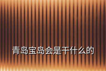 青島寶島會是干什么的