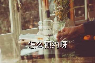 怎么預約呀