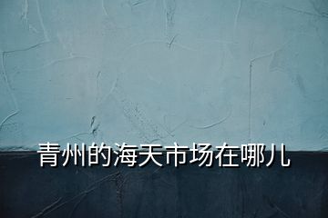 青州的海天市場(chǎng)在哪兒
