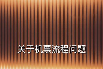 關(guān)于機(jī)票流程問(wèn)題