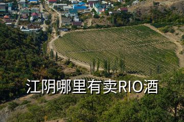 江陰哪里有賣(mài)RIO酒
