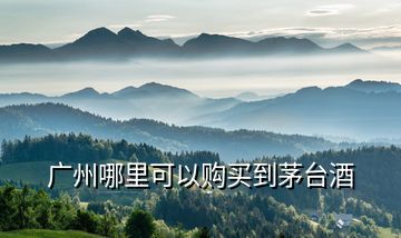 廣州哪里可以購買到茅臺(tái)酒