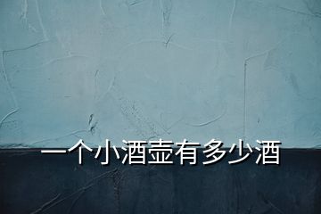 一個小酒壺有多少酒