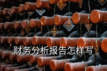 財(cái)務(wù)分析報(bào)告怎樣寫