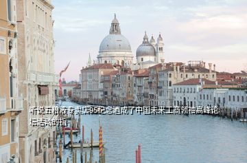 聽(tīng)說(shuō)五糧液專賣店95紀(jì)念酒成了中國(guó)未來(lái)工商領(lǐng)袖高峰論壇活動(dòng)的指
