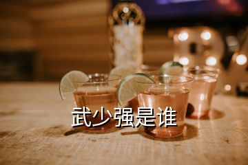 武少?gòu)?qiáng)是誰