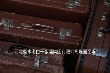 河北衡水老白干釀酒集團有限公司是國企嗎