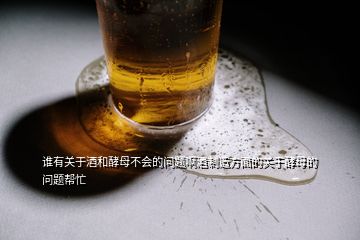 誰有關(guān)于酒和酵母不會的問題啊酒制造方面的關(guān)于酵母的問題幫忙