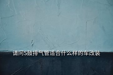 請(qǐng)問(wèn)S鼓排氣管適合什么樣的車(chē)改裝