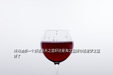 洋河酒那一個(gè)好還是天之藍(lán)好還是海之藍(lán)好你還是夢(mèng)之藍(lán)好了