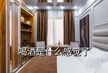 喝酒是什么感覺(jué)了
