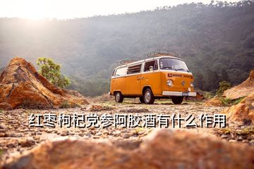 紅棗枸杞黨參阿膠酒有什么作用