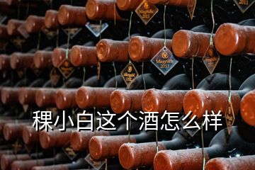 稞小白這個酒怎么樣