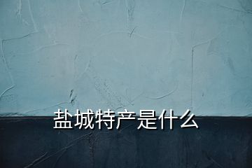 鹽城特產是什么