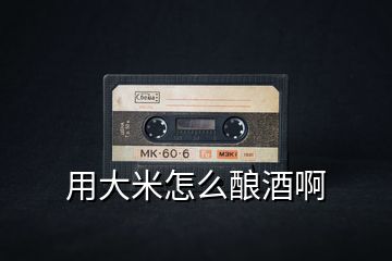 用大米怎么釀酒啊