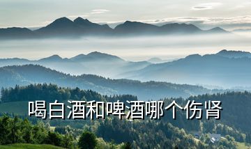 喝白酒和啤酒哪個傷腎