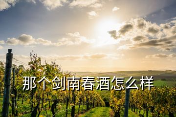 那個(gè)劍南春酒怎么樣
