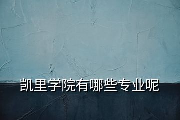 凱里學(xué)院有哪些專(zhuān)業(yè)呢