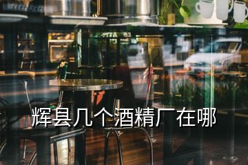 輝縣幾個(gè)酒精廠在哪