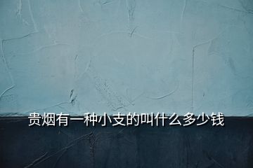 貴煙有一種小支的叫什么多少錢